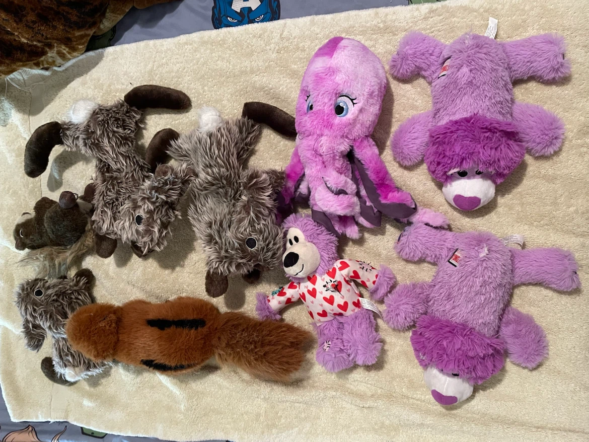 Kong & Realistic Dog Toys Lot