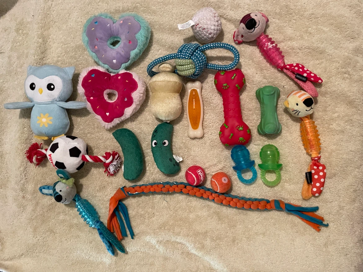 20pc Small Dog Toys Lot