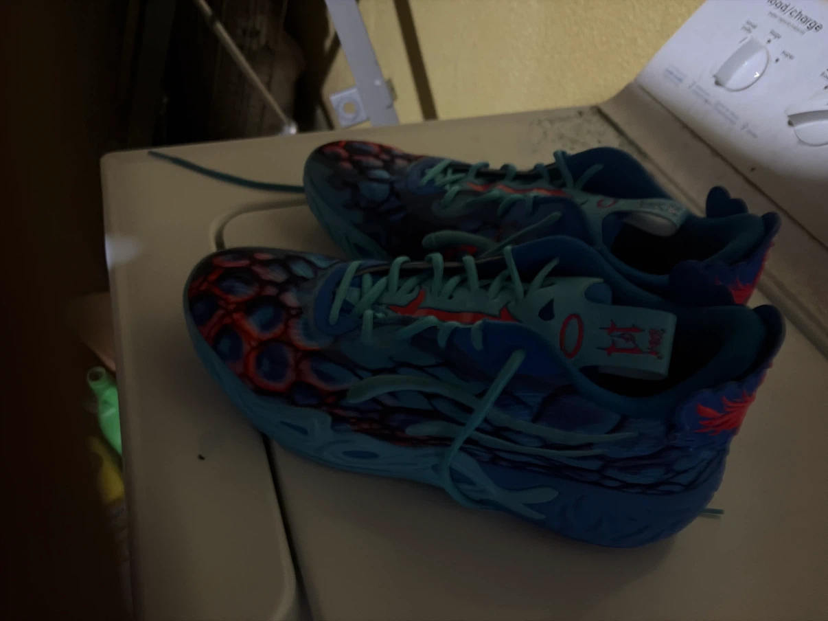 Lemelos ball shoes - photo 3