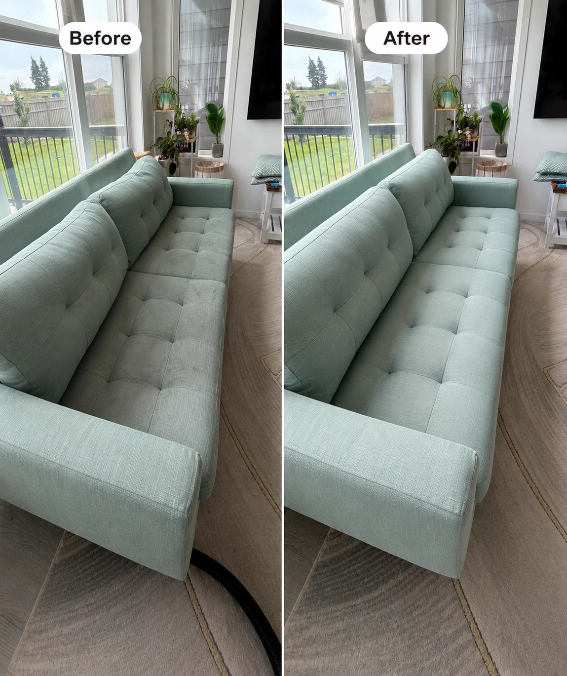 Professional Sofa & Upholstery Cleaning | Stain & Odor Removal