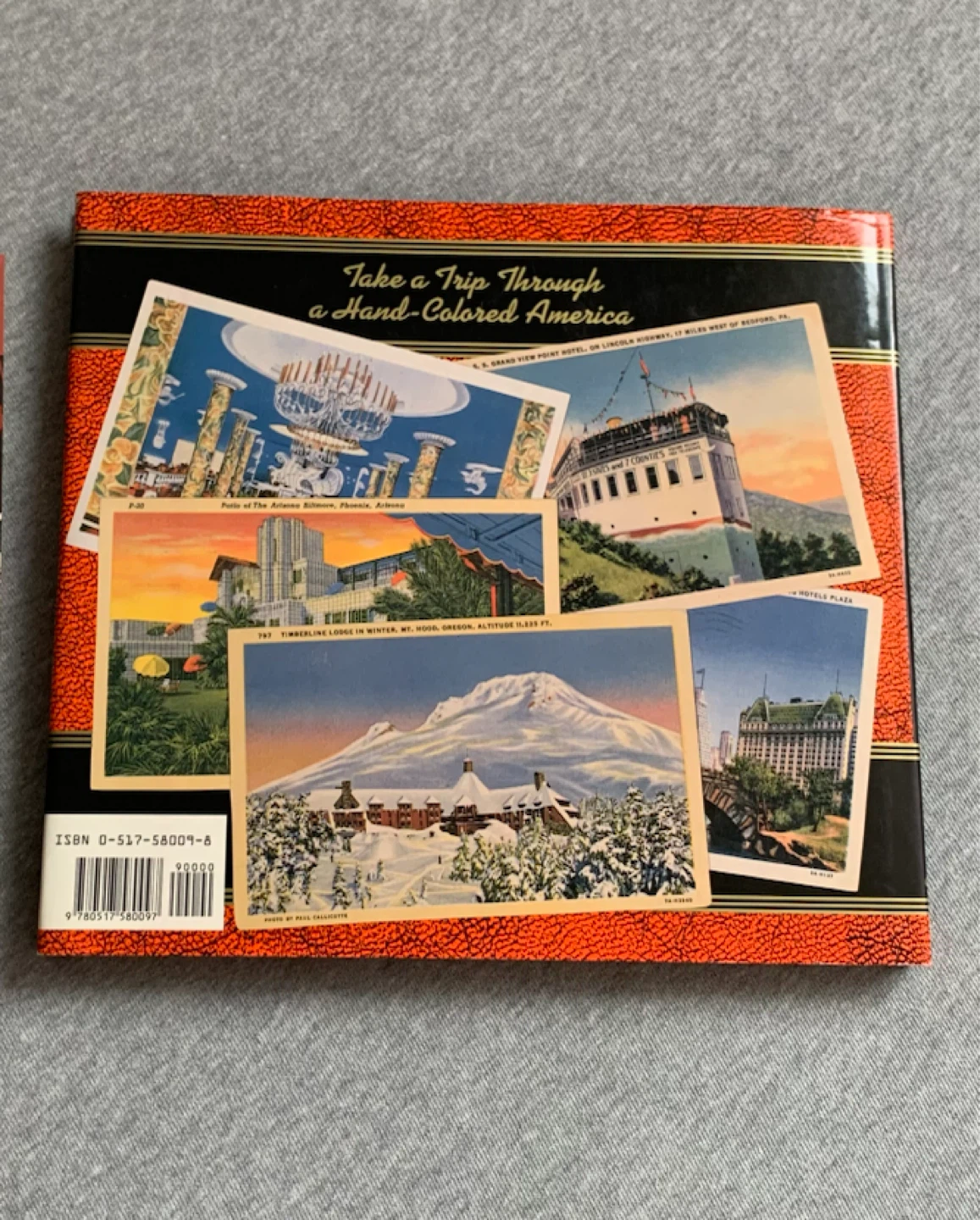 Wish You Were Here: Hardcover Picture Book by Barry Zaid - photo 2