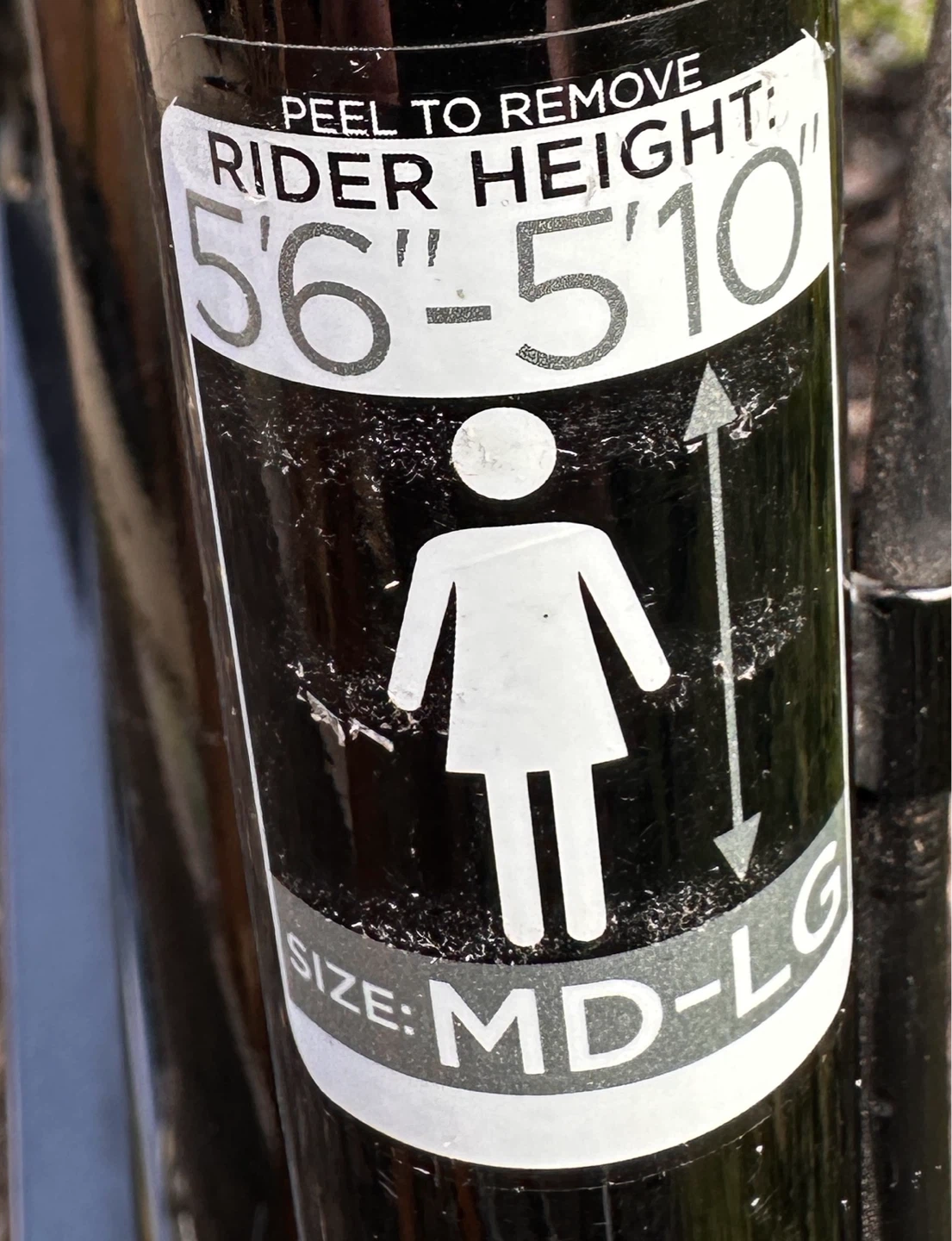 Raleigh Bicycle - photo 4