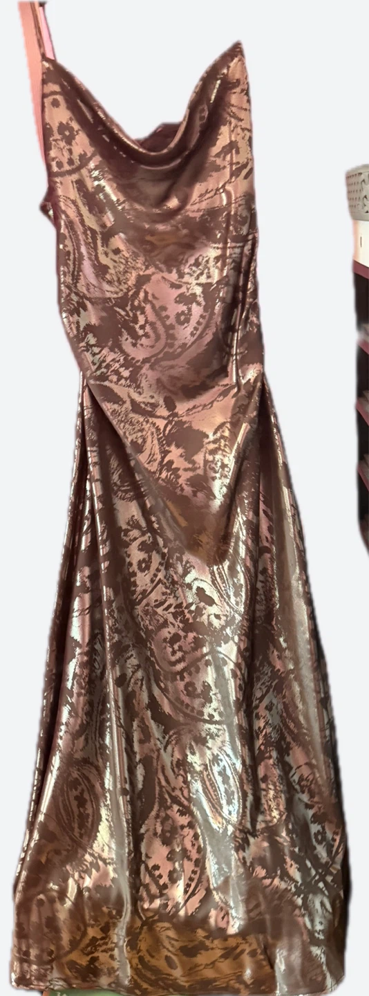 Zara Metallic Paisley Print Slip Dress