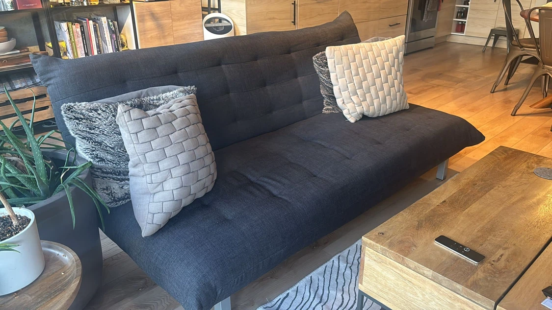 Structube Dark Grey Futon Sofa Bed