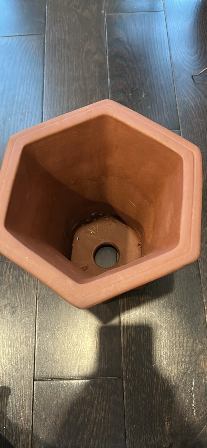 New orchid pot - photo 2