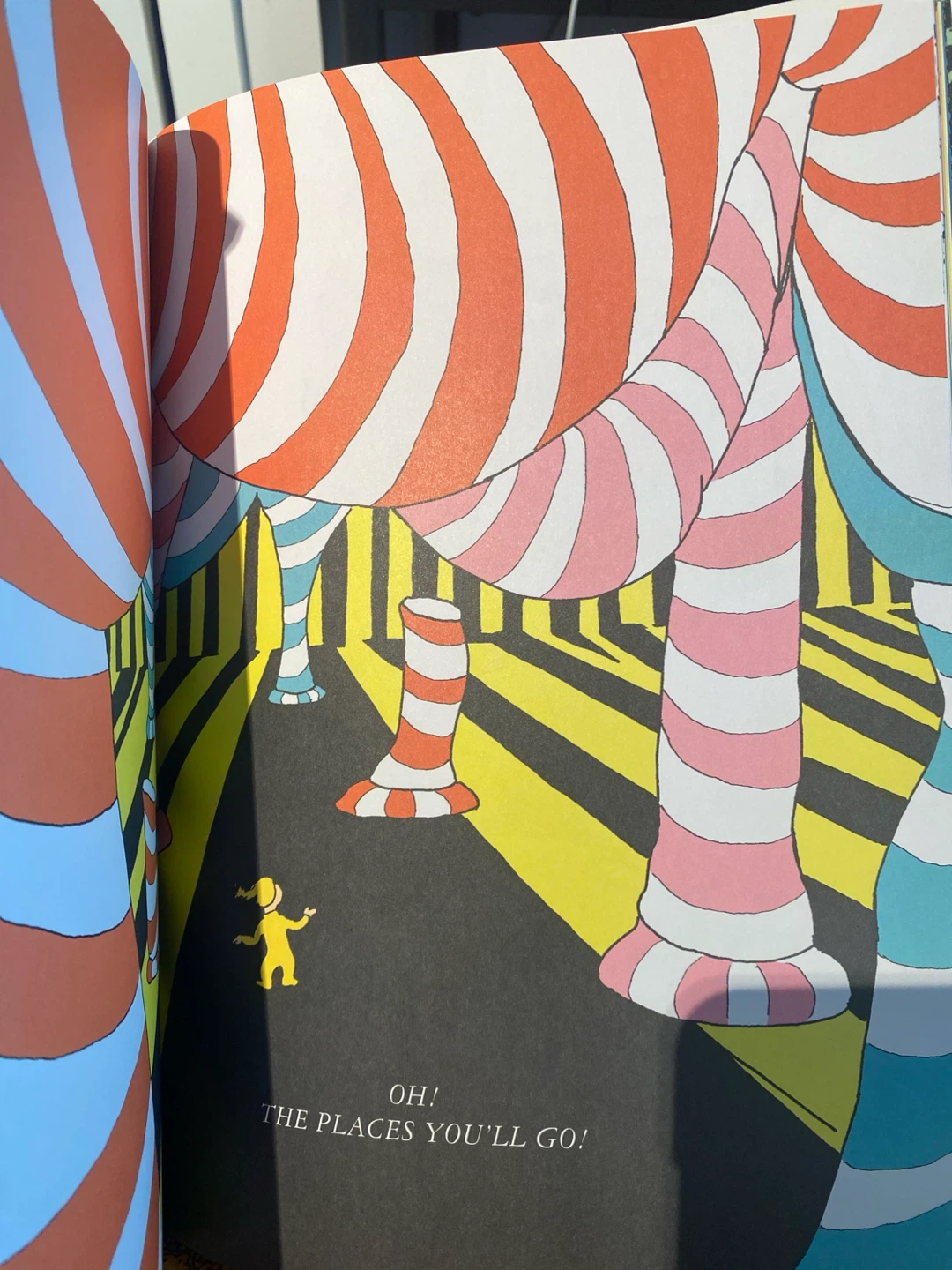 Oh the places you’ll go! Grad book - photo 3