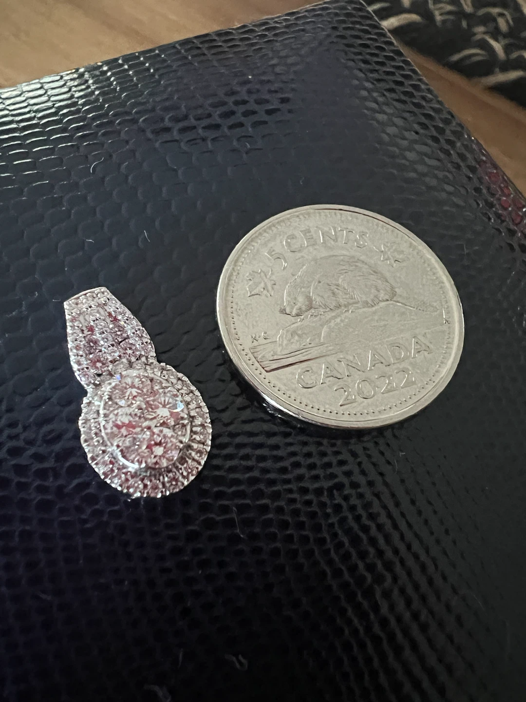 14 k Diamond Pendant with Canadian 5 Cent Coin for Scale