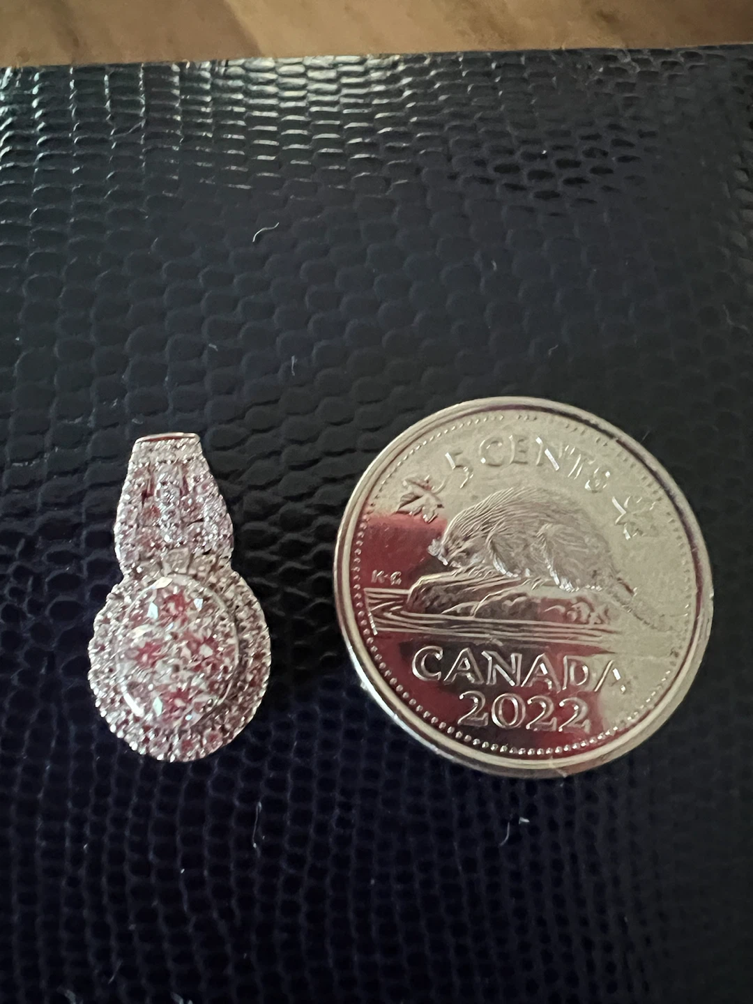 14 k Diamond Pendant with Canadian 5 Cent Coin for Scale - photo 2