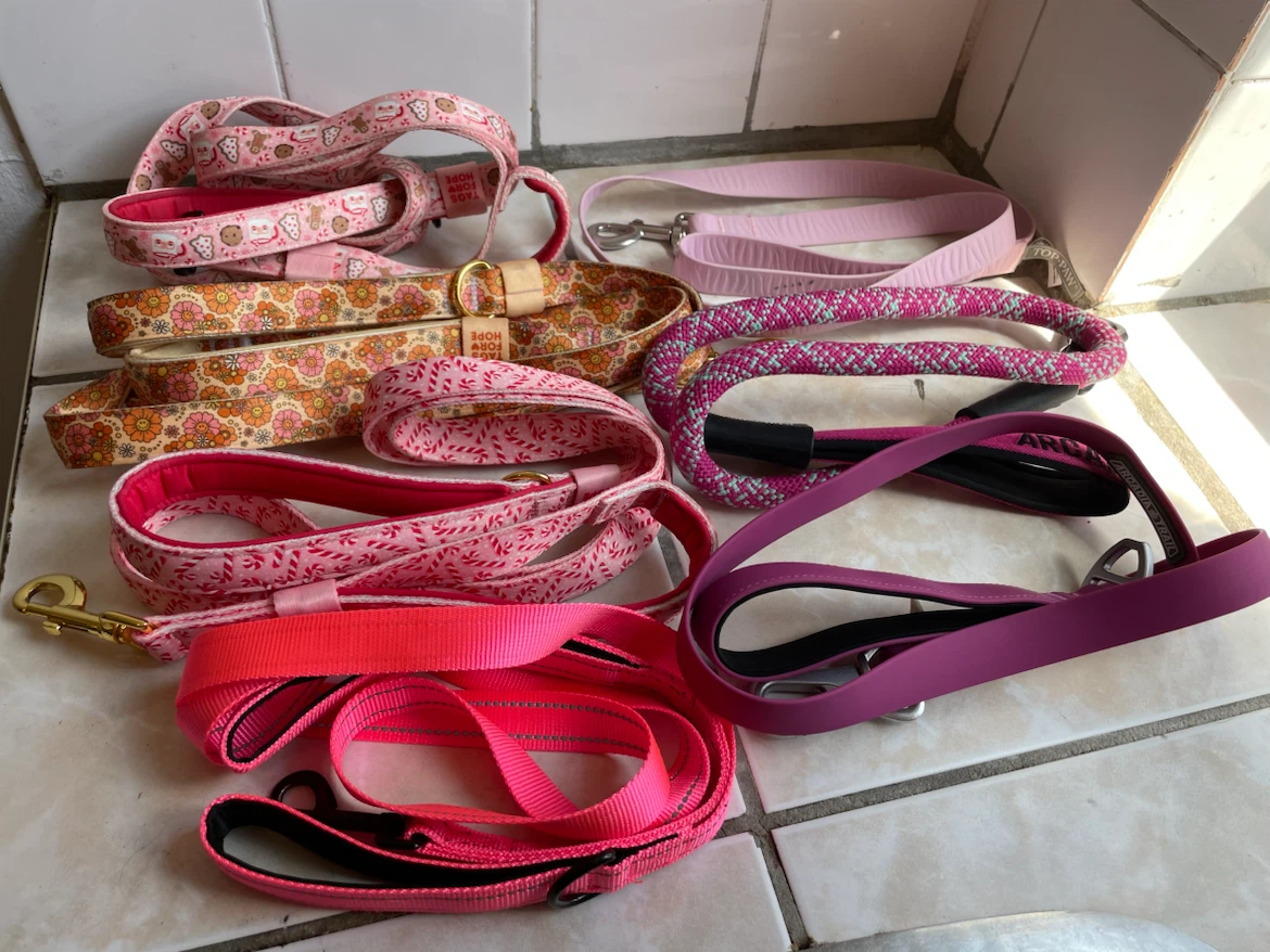 Large Dog Leashes Lot
