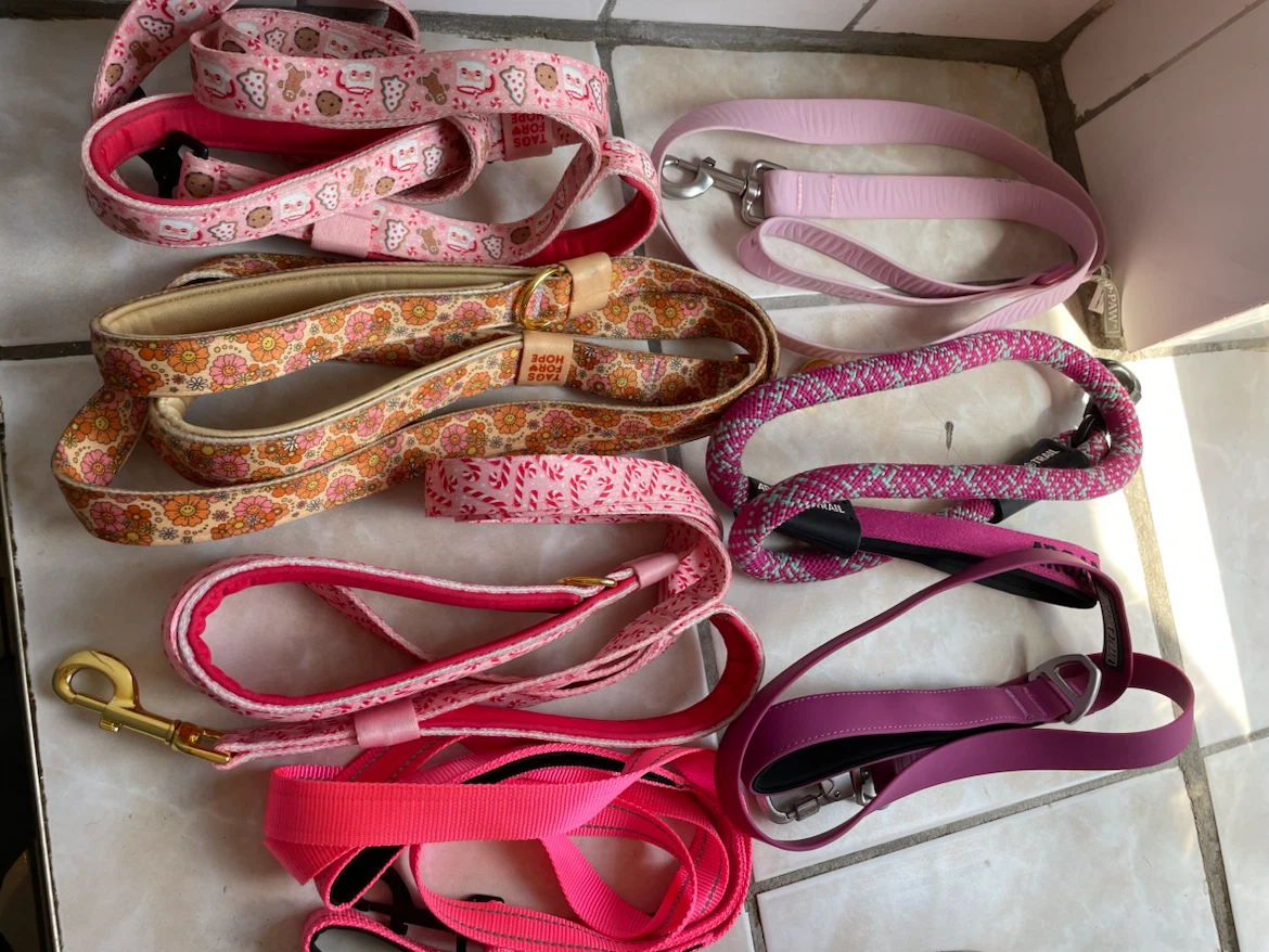Large Dog Leashes Lot - photo 2