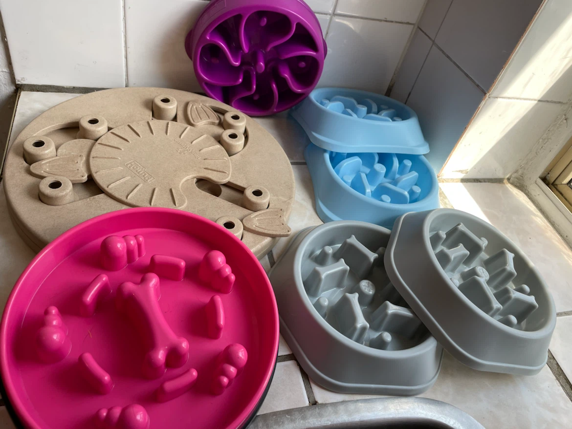 Dog Slow Feeder & Puzzles Lot