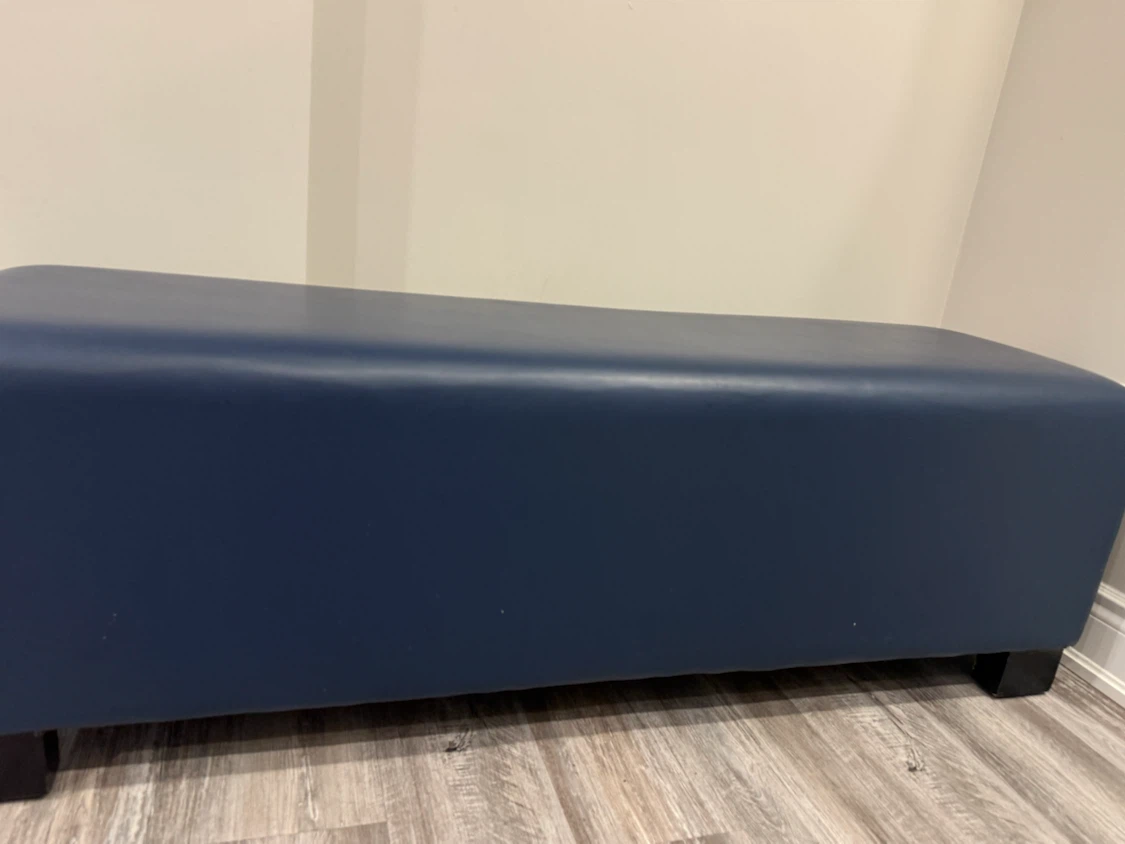 Blue Upholstered Bench