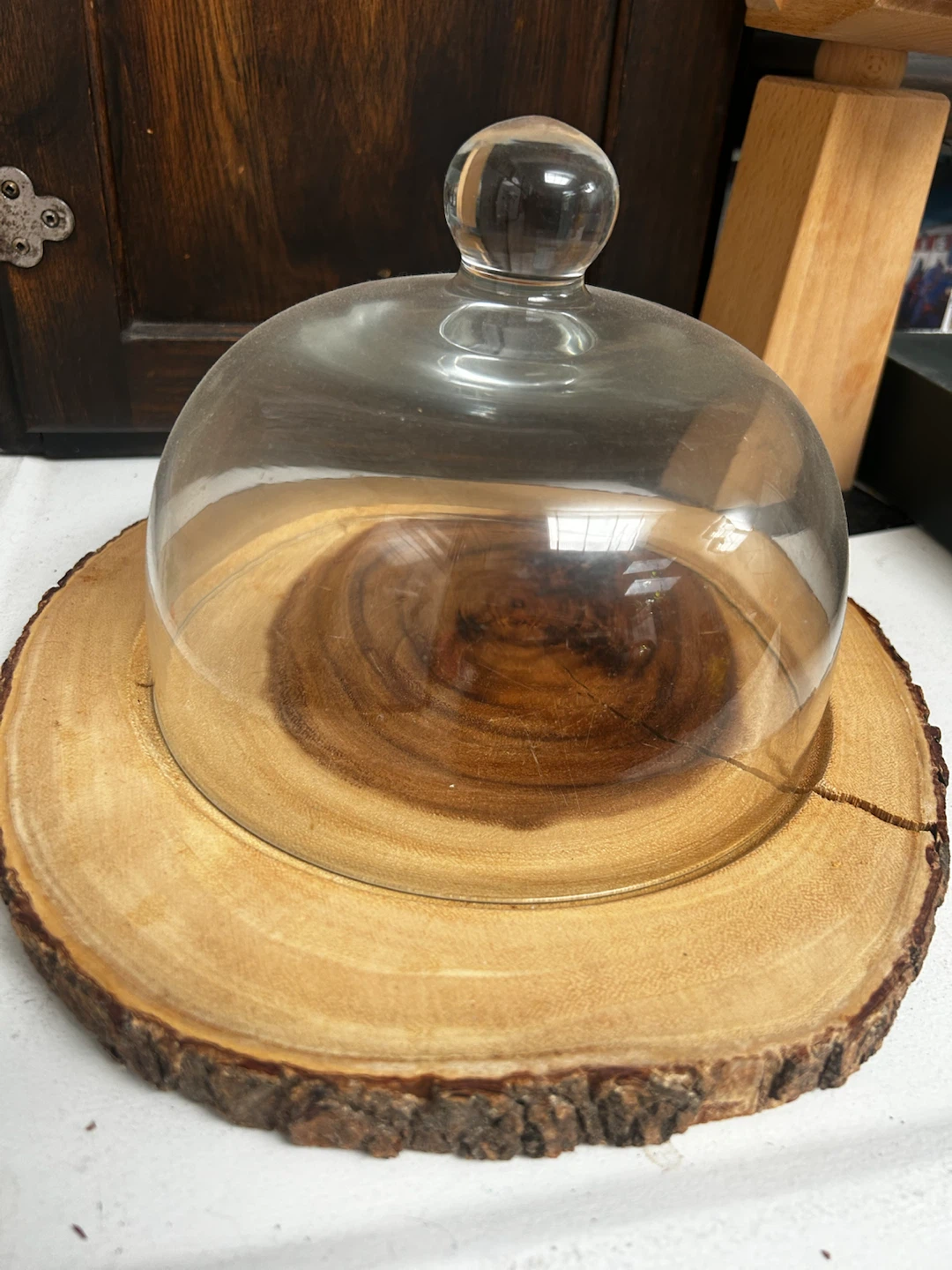 Glass Dome with Wood Slice Serving Stand