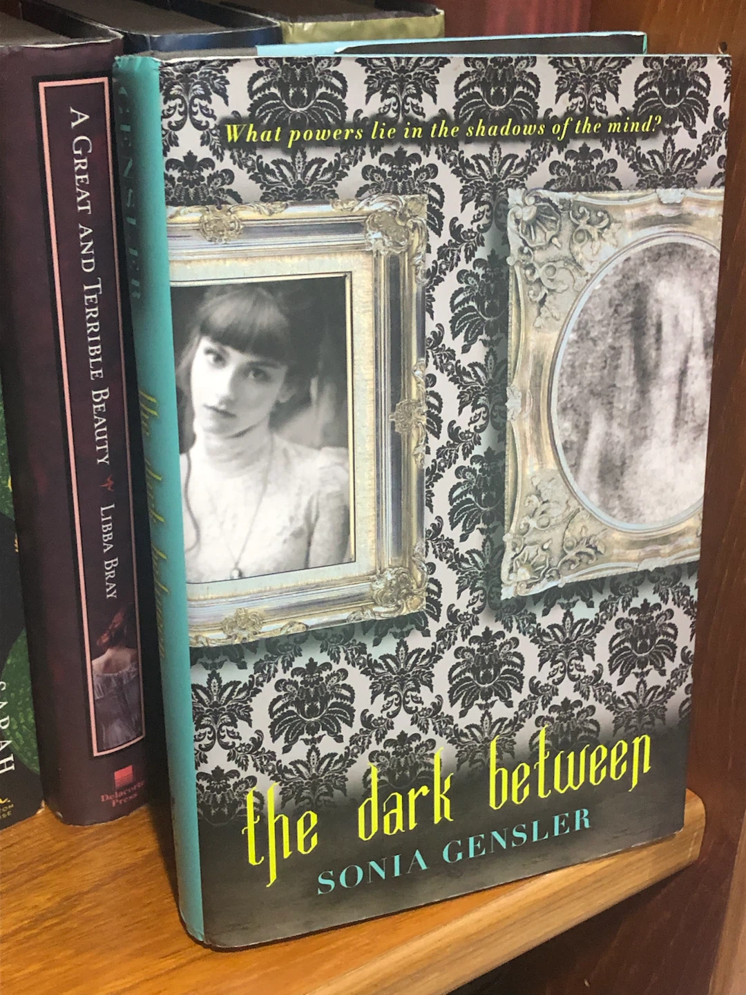 The Dark Between by Sonia Gensler Hardcover Book