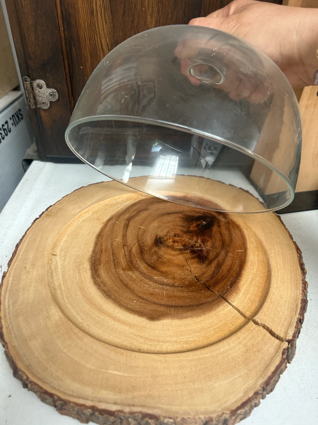 Glass Dome with Wood Slice Serving Stand - photo 3