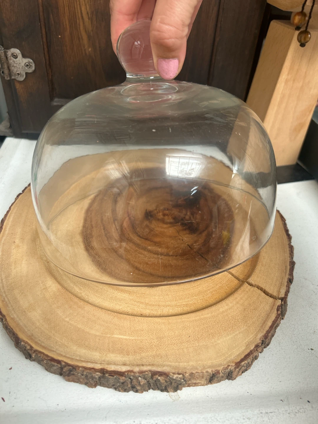 Glass Dome with Wood Slice Serving Stand - photo 4