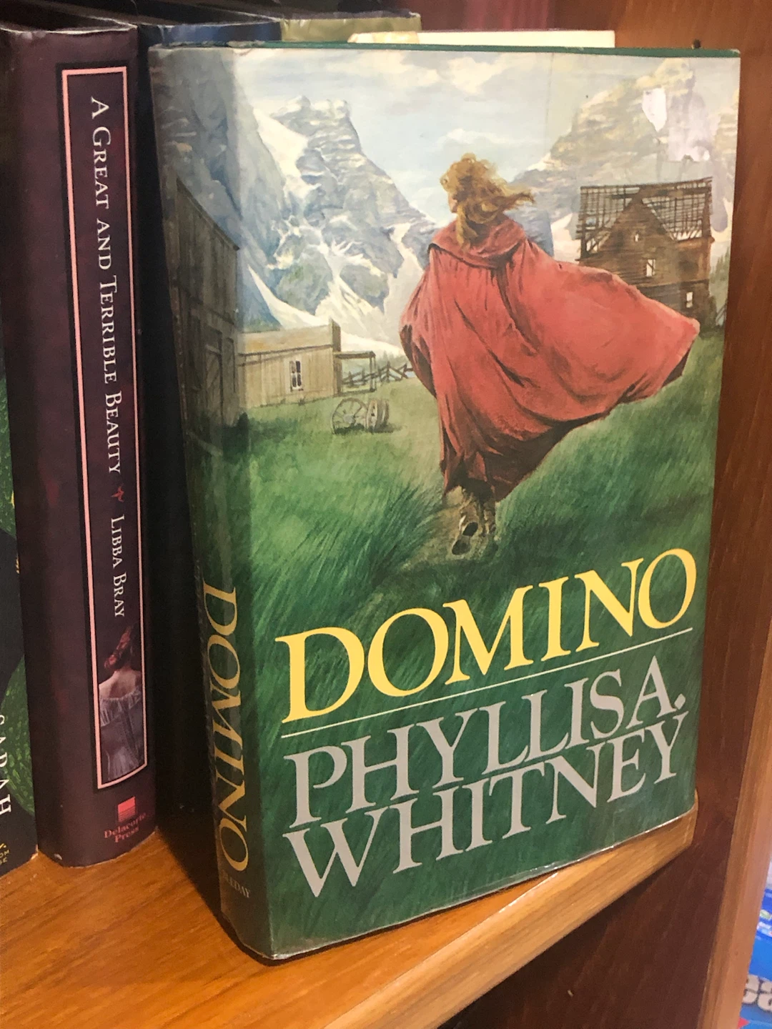 Domino by Phylisha Whitney Hardcover Book