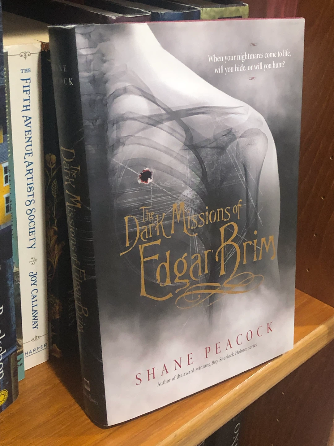 The Dark Missions of Edgar Brim by Shane Peacock Hardcover