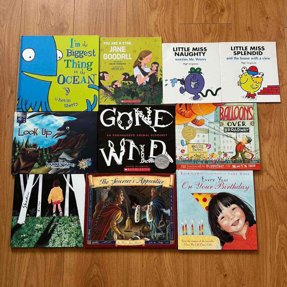 Children's Picture Books