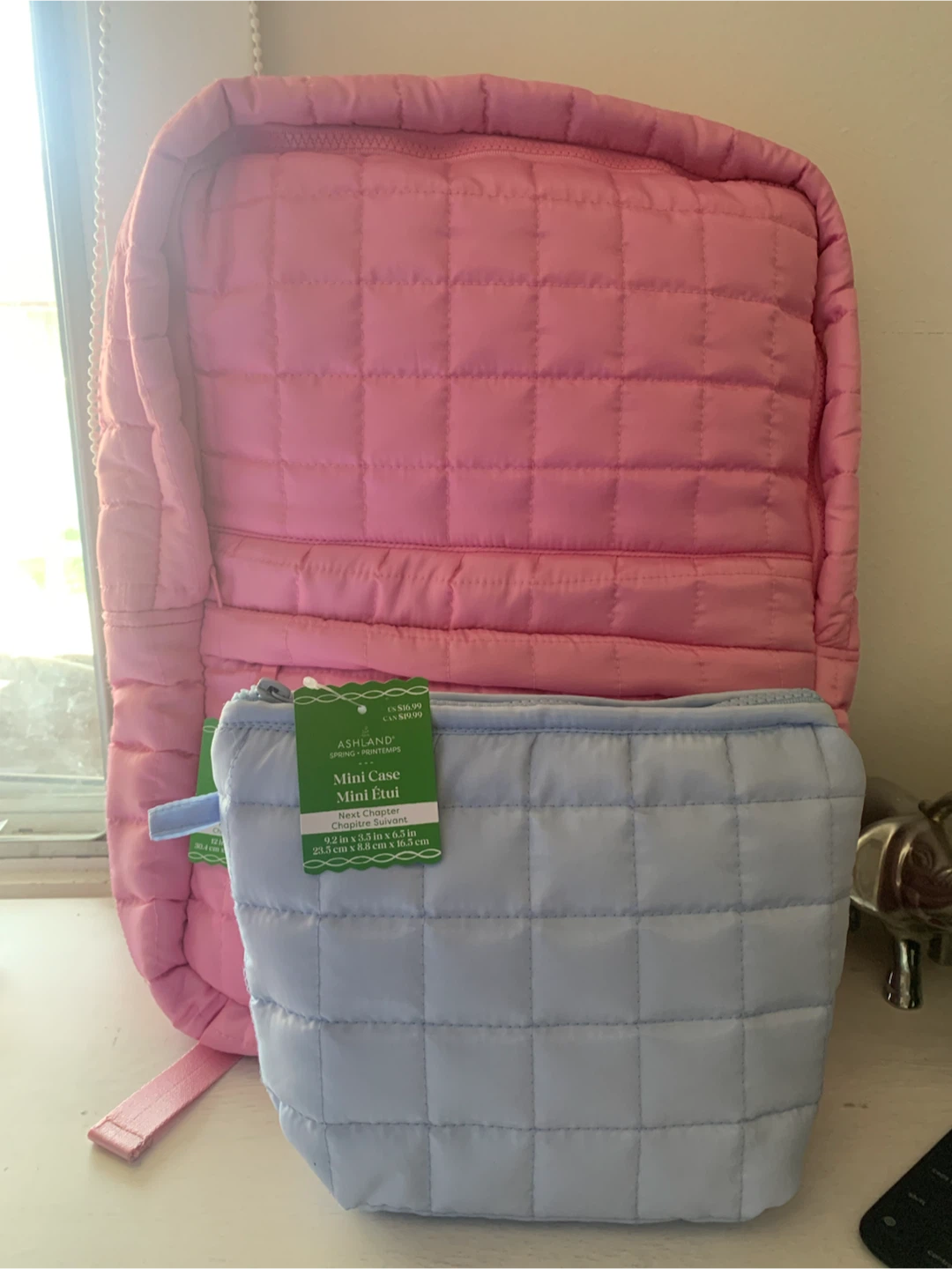 Ashland Mini Case and Backpack Set