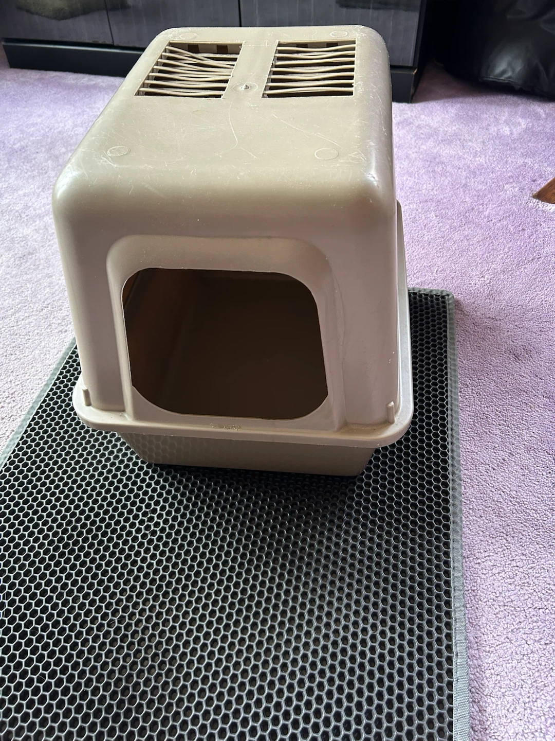 Covered Cat Litter Box with Mat