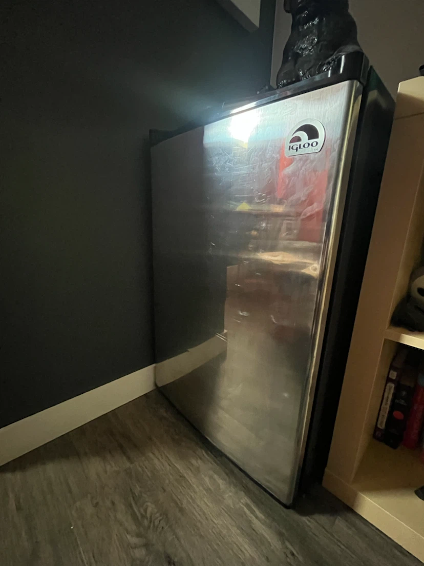 Igloo Mini Fridge
