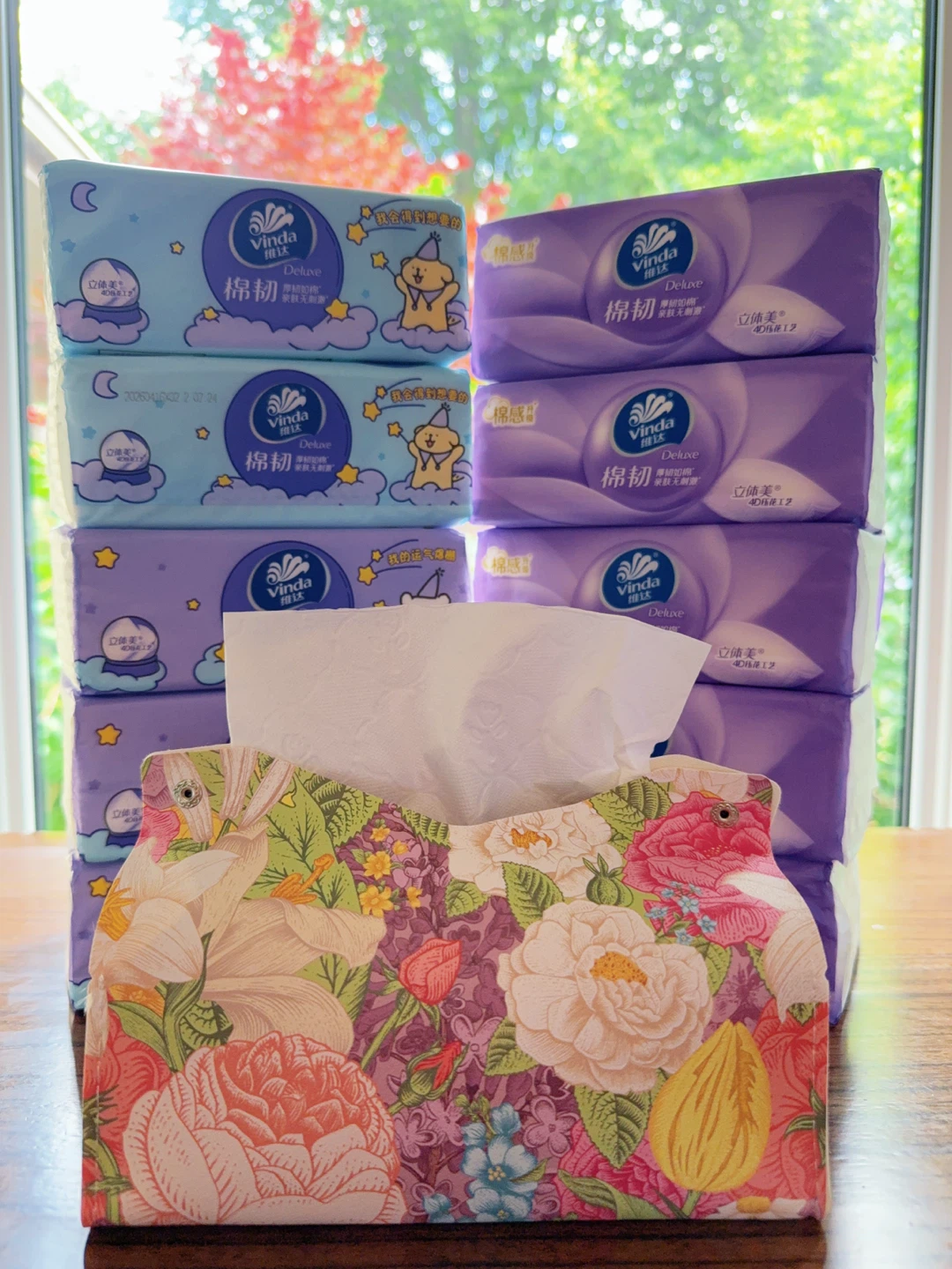 Vinda Deluxe Facial Tissues (10 Packs)