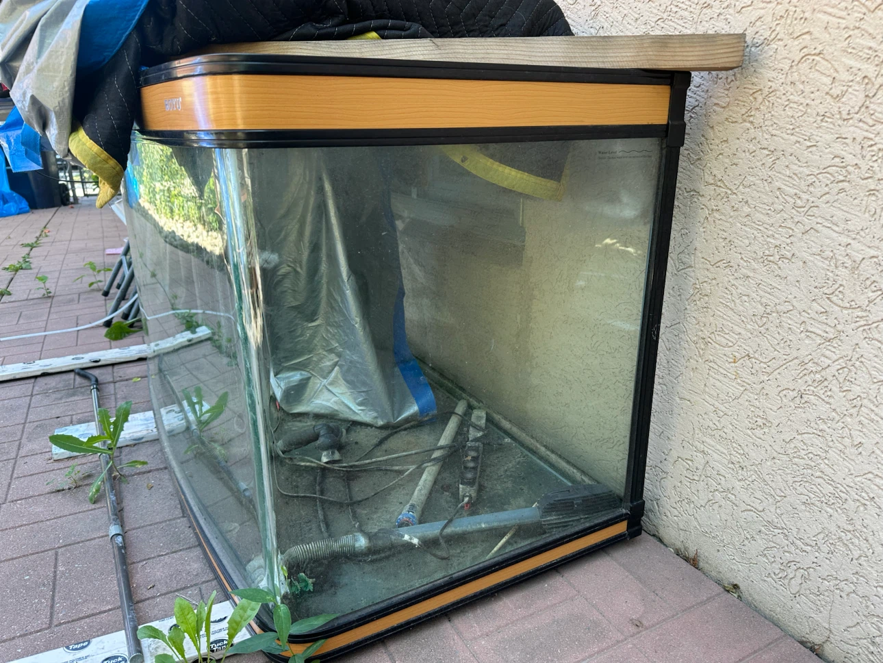 BOYU Aquarium - photo 2