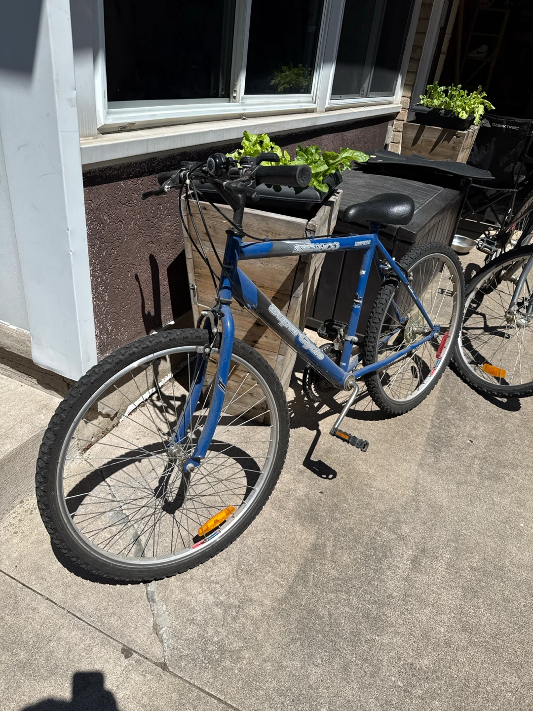 Blue  Mountain Bike