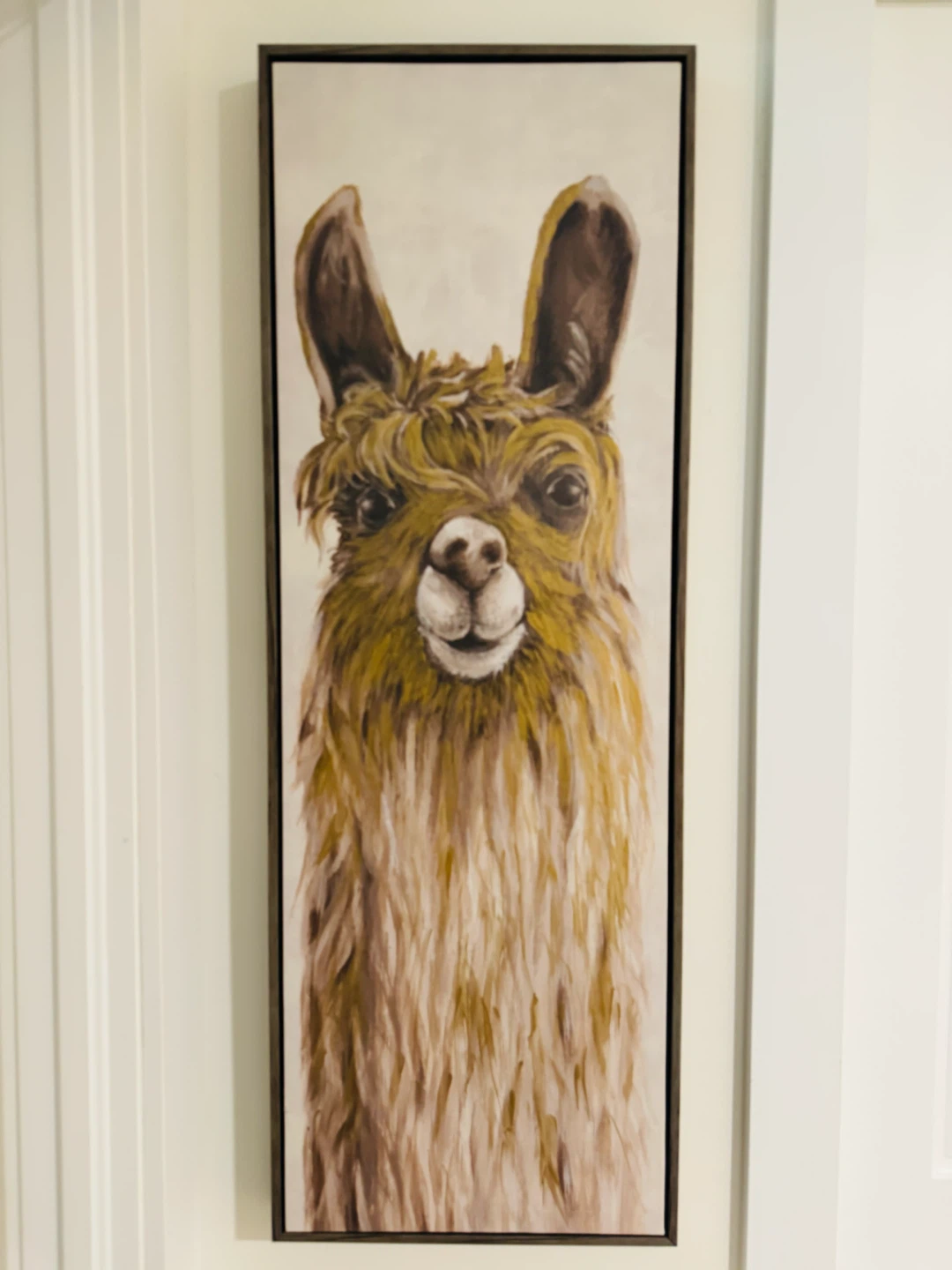 Framed Llama Canvas Wall Art