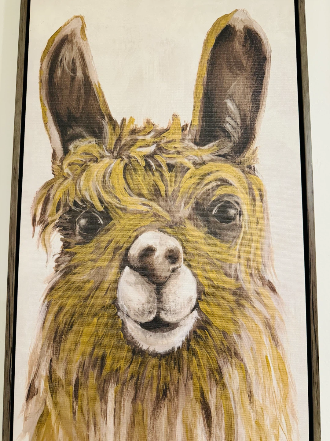 Framed Llama Canvas Wall Art - photo 2