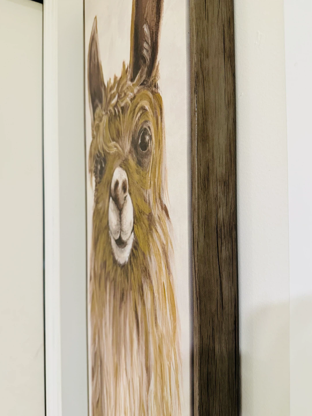 Framed Llama Canvas Wall Art - photo 3