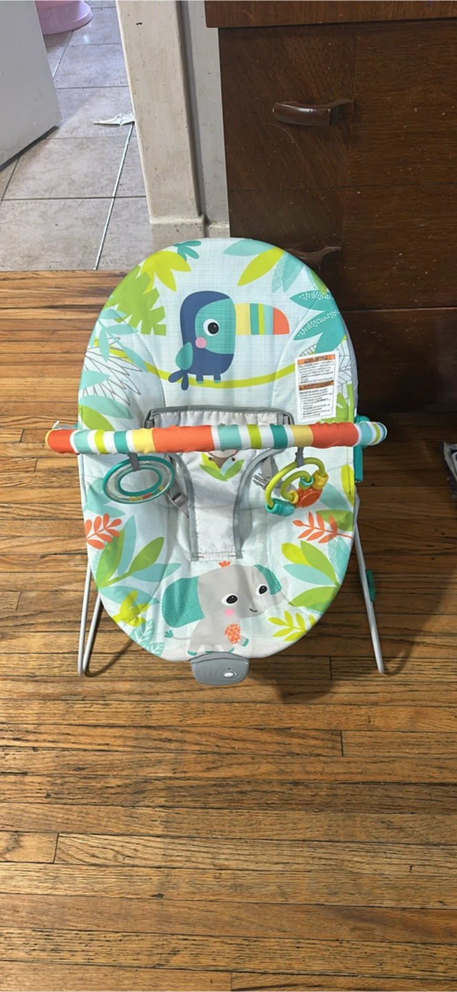 Bright Starts Elephant & Toucan Baby Bouncer