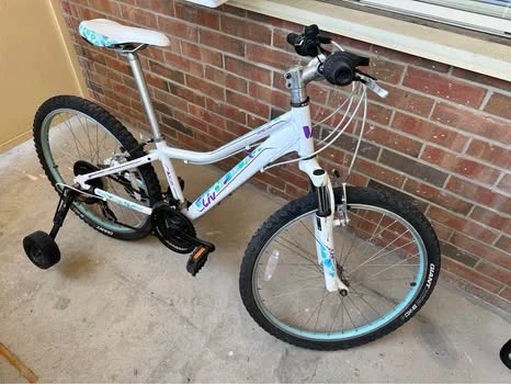 Giant Liv Bike