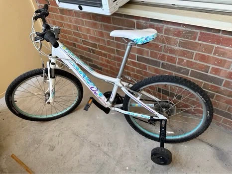 Giant Liv Bike - photo 2