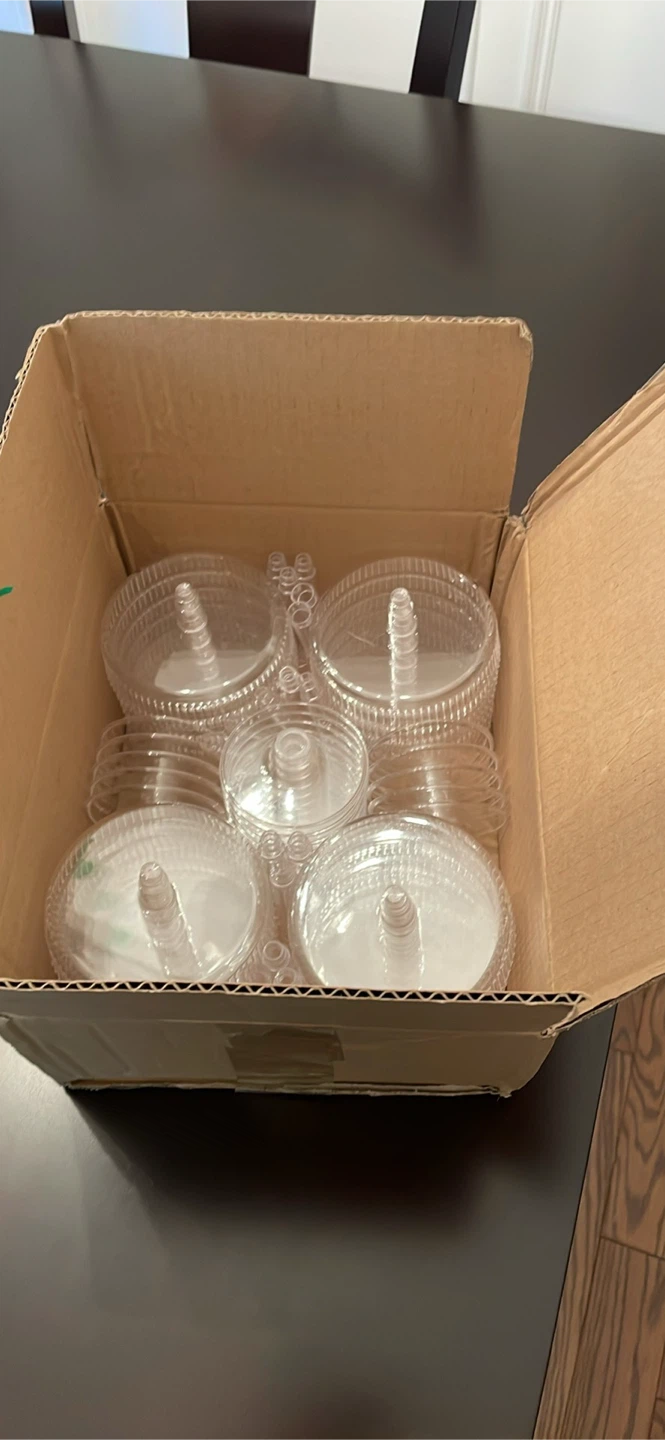 Plastic Coupe Glasses Set of 20 - photo 4