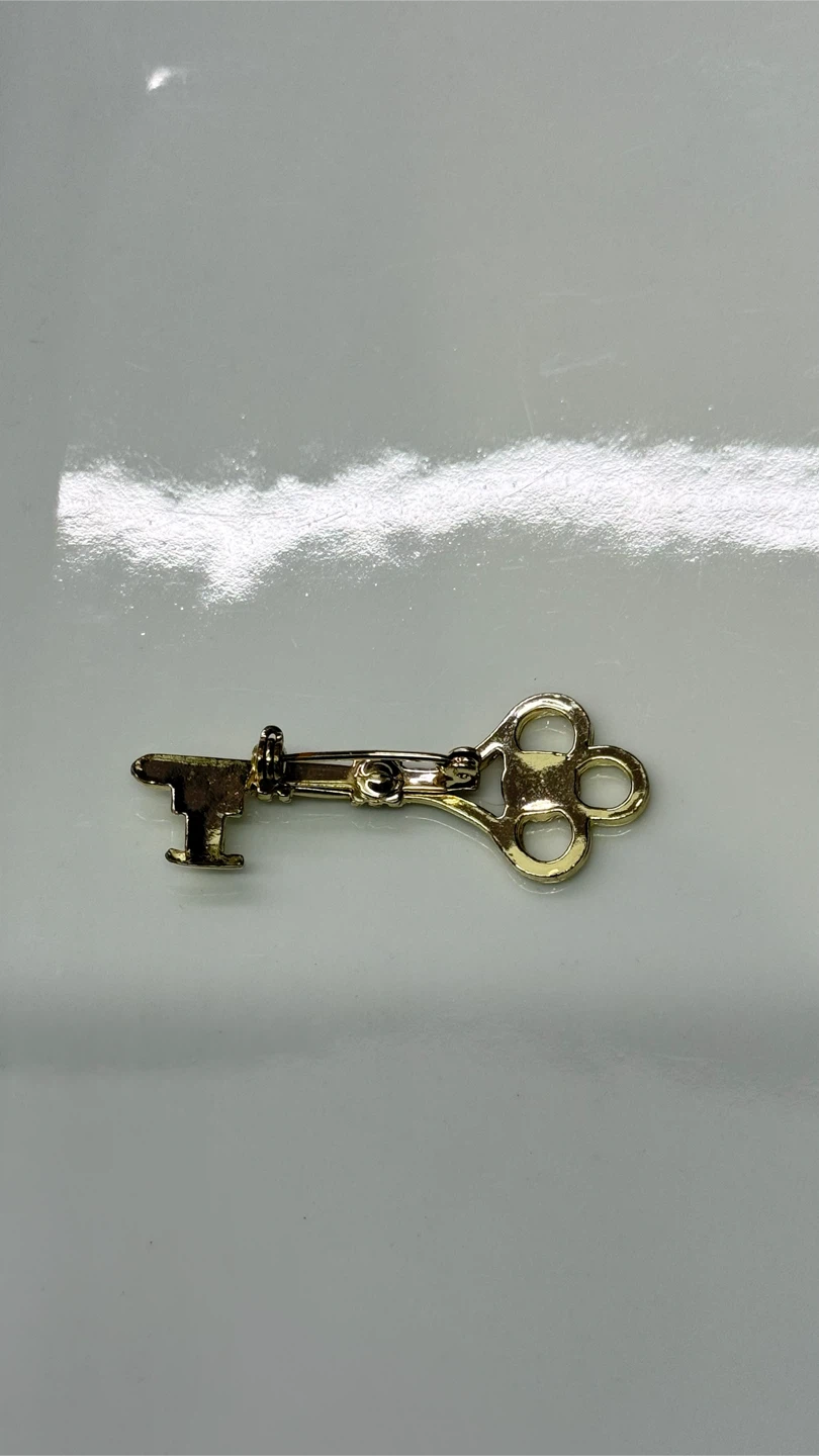 🔑 Vintage Skeleton Key Enamel Pin - photo 2