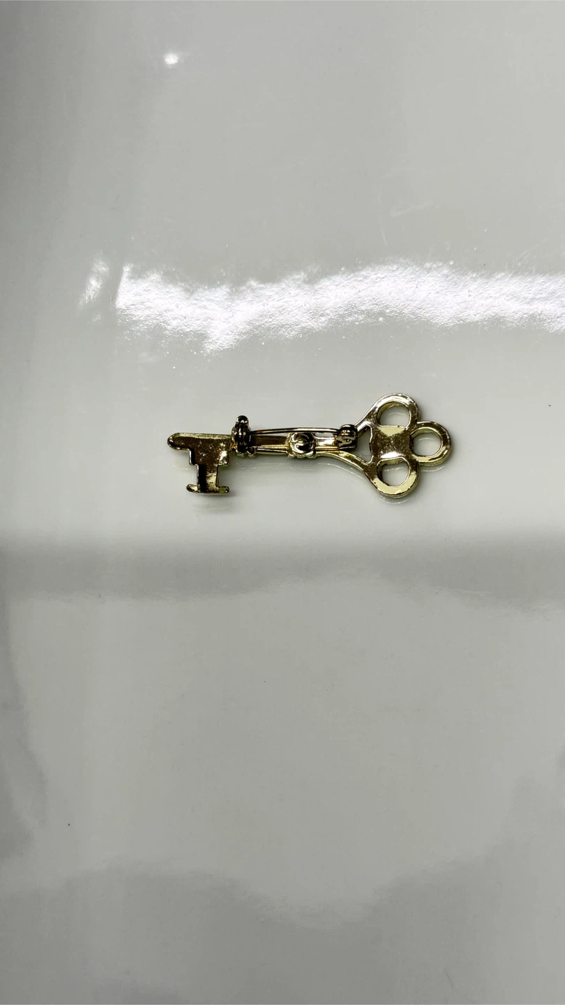 🔑 Vintage Skeleton Key Enamel Pin - photo 3