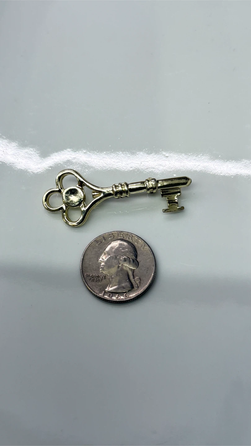 🔑 Vintage Skeleton Key Enamel Pin - photo 4