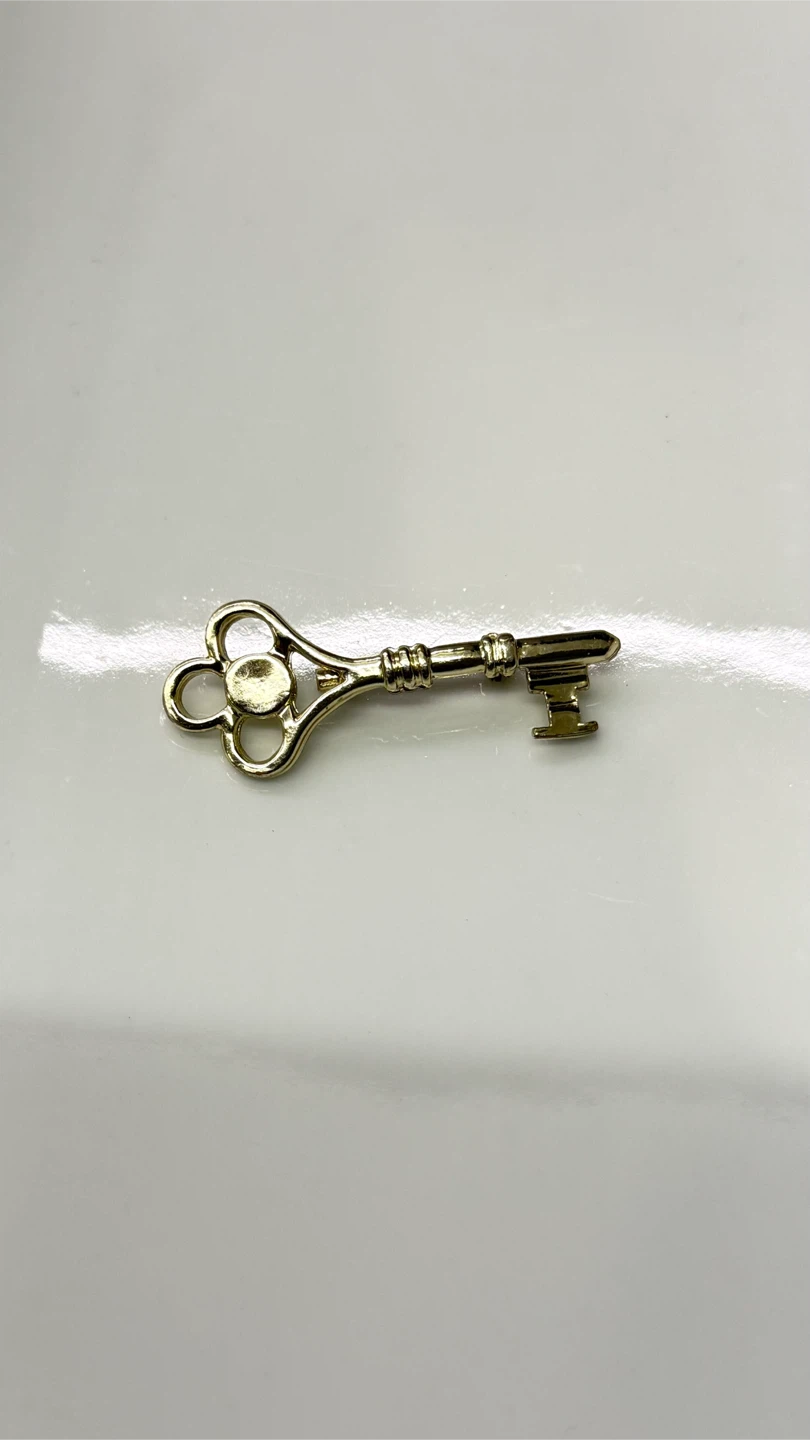 🔑 Vintage Skeleton Key Enamel Pin - photo 5