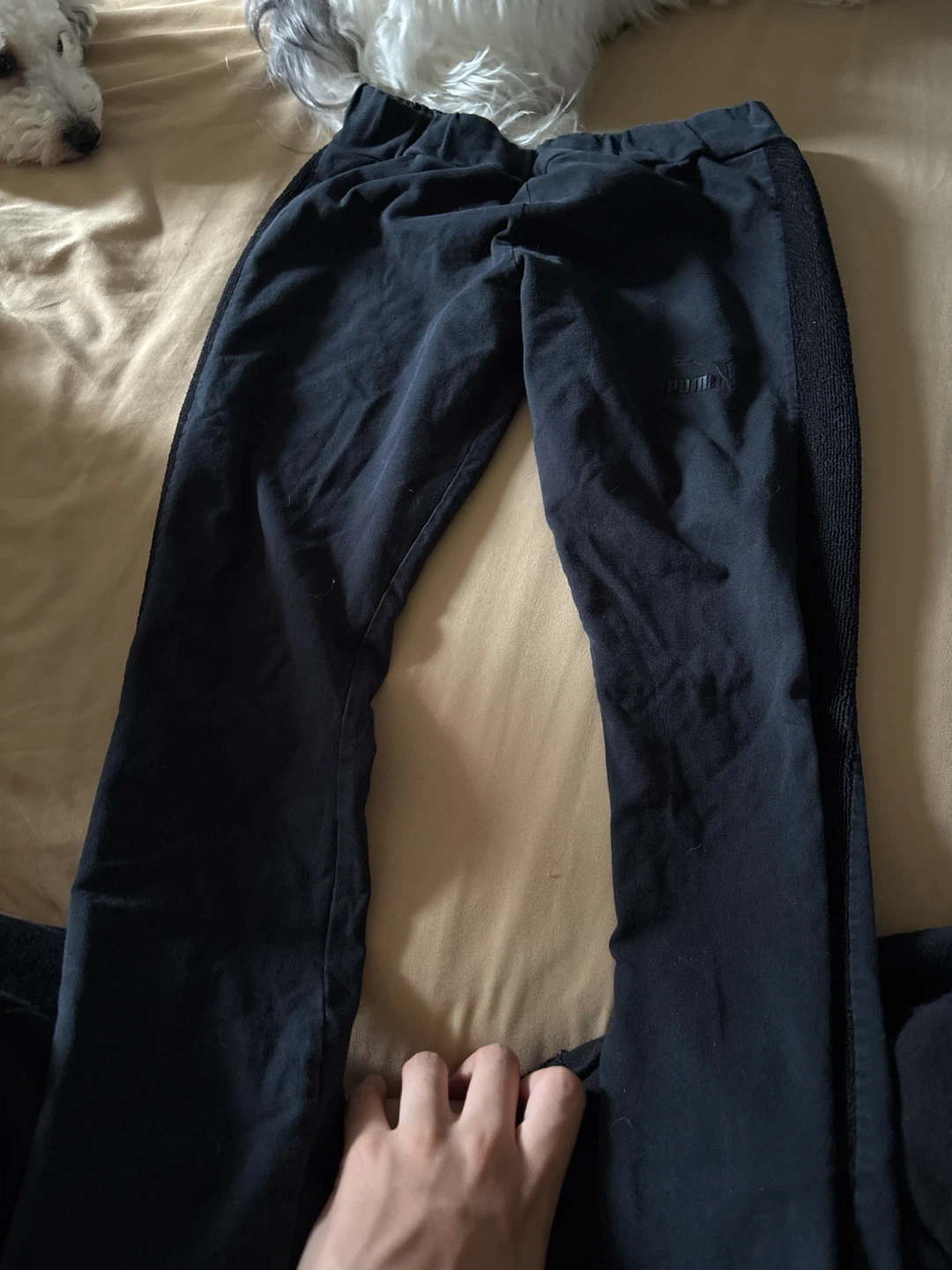 Puma Sweatpants - Size S/P