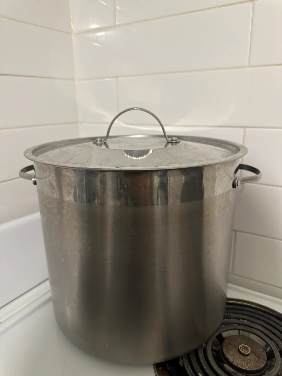 Large Stainless Steel Stock Pot with Lid