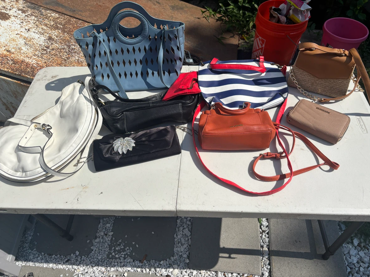 Assorted Women's Handbags Set