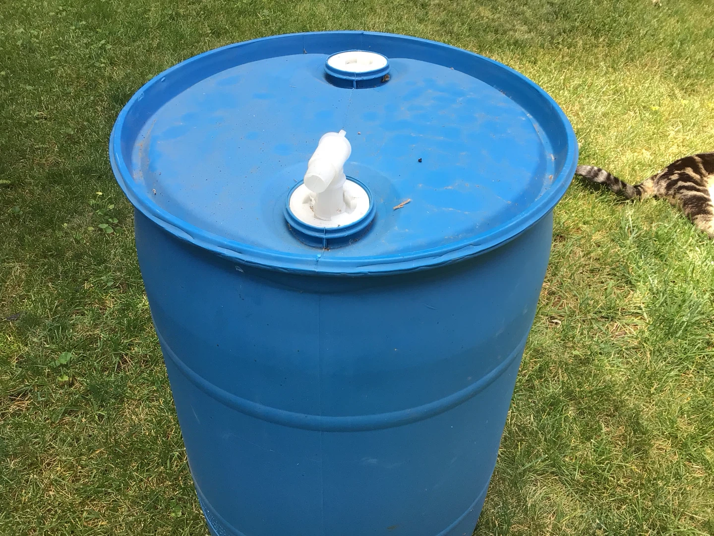 Blue Plastic Drum with Spigot - photo 3