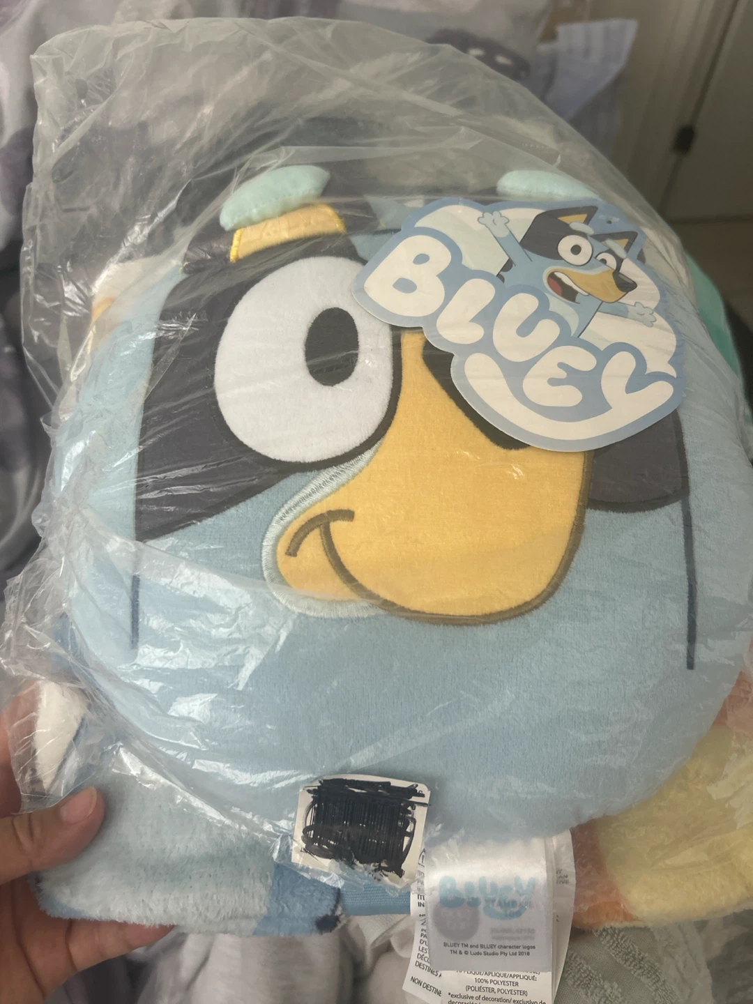 Bluey Noggins Pillow & Throw Set