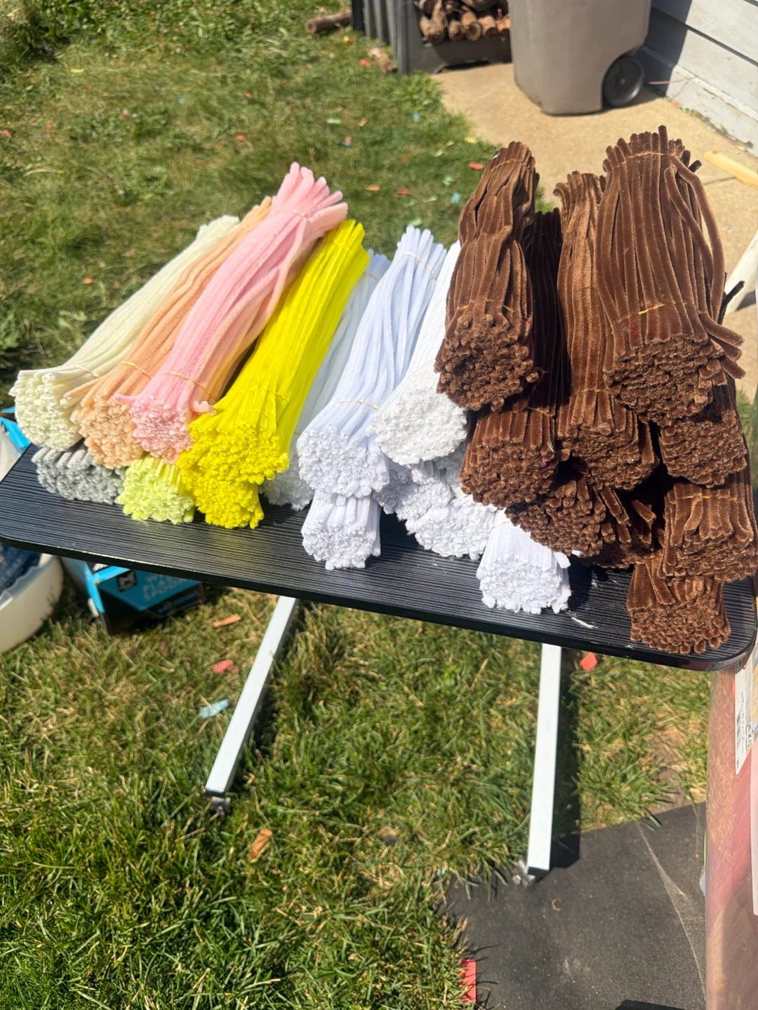 Assorted Pipe Cleaners Craft Supplies