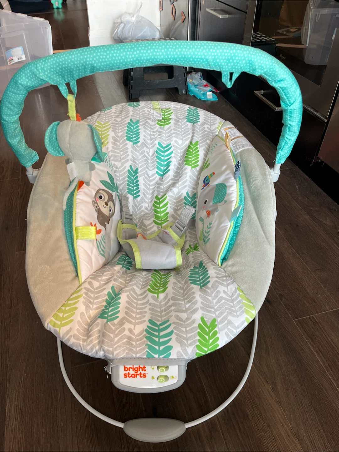 Bright Starts Baby Bouncer