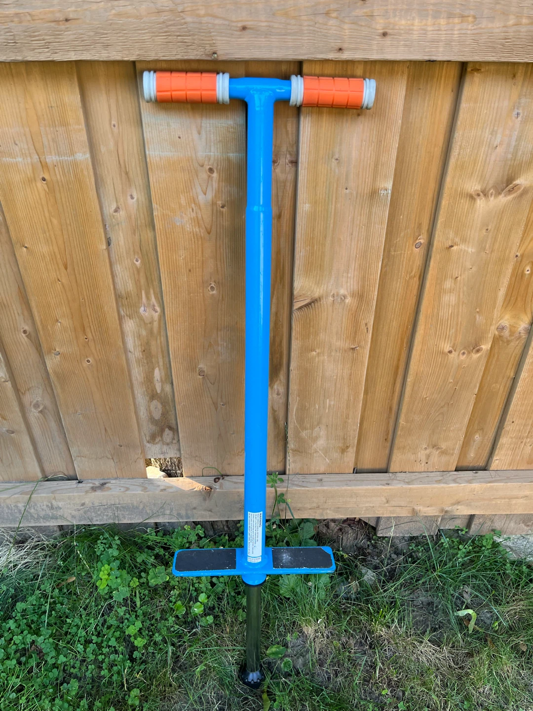 Flight Pogo Stick - Blue - photo 3
