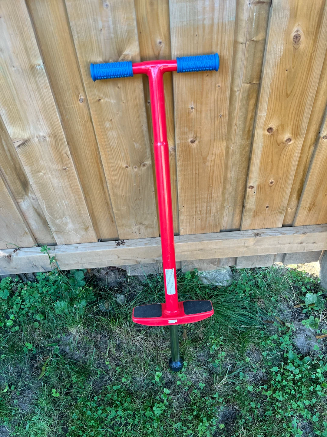 Flight Pogo Stick - Blue - photo 5