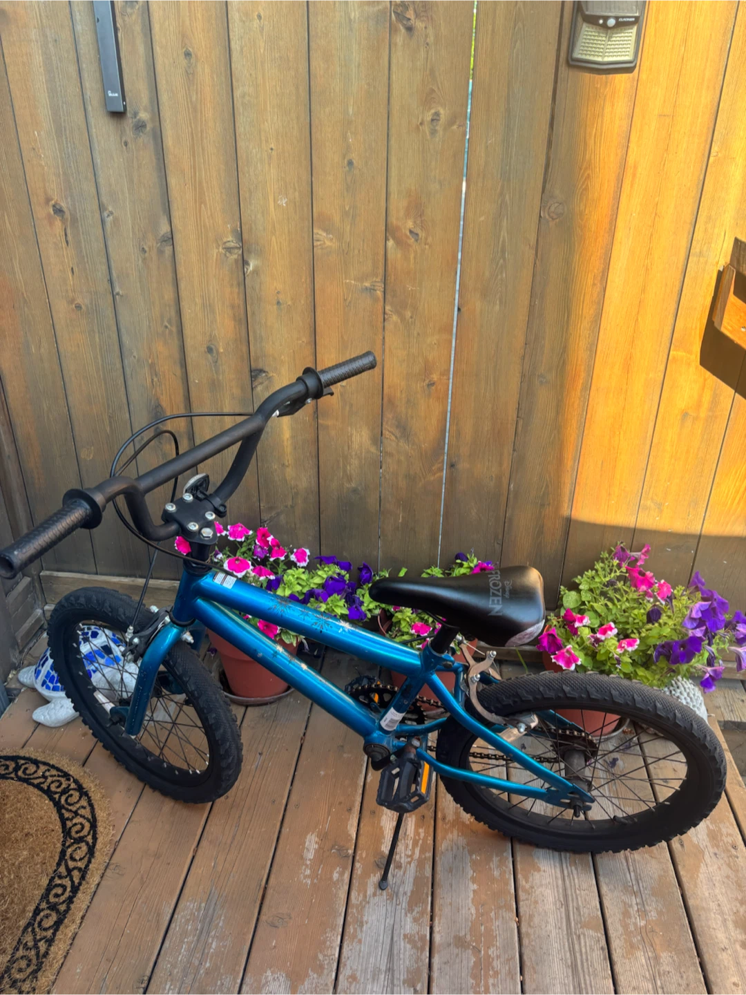 Blue Kids BMX Bike
